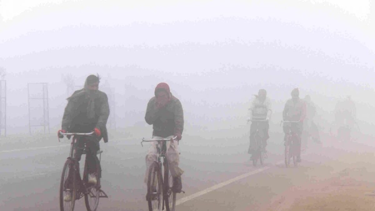 UP Weather Update: बदल गया मौसम का मिजाज! लखनऊ में 4 नवंबर को पड़ा कोहरा, देखें अपडेट UP Tak