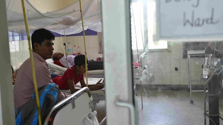 गौतमबुद्ध नगर में डेंगू के 41 नए केस मिले, कुल मामलों की संख्या बढ़कर हुई 157 UP Tak