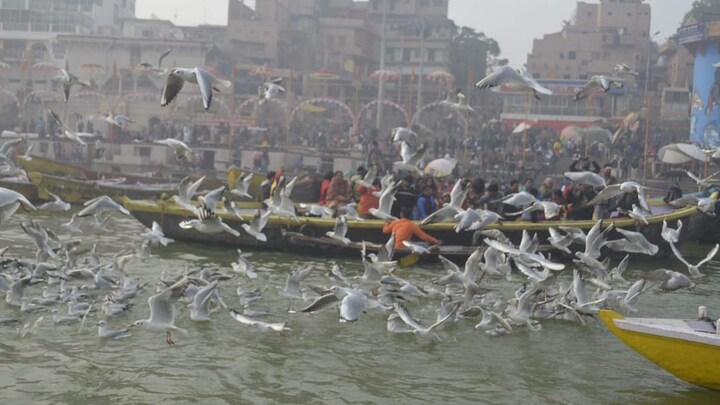 गंगाजल लाने के लिए नहीं जाना होगा गंगोत्री, ऋषिकेश या हरिद्वार, डाकिया पहुंचाएगा आपके घर UP Tak