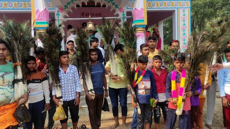 बुंदेलखंड में ‘करोड़ों मोरपंखों’ के साथ होती है अनोखी गोवर्धन पूजा, जानें क्यों है ये खास? UP Tak