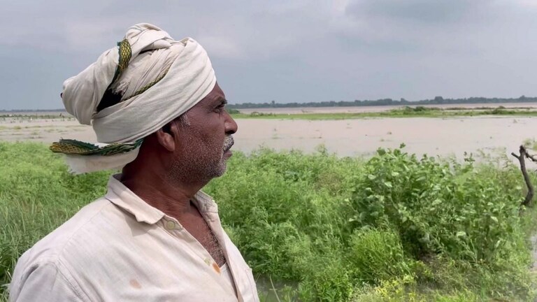 चंदौली: उफान पर गंगा नदी, बाढ़ के पानी में डूबी सब्जियों की फसल, किसान बेहाल UP Tak