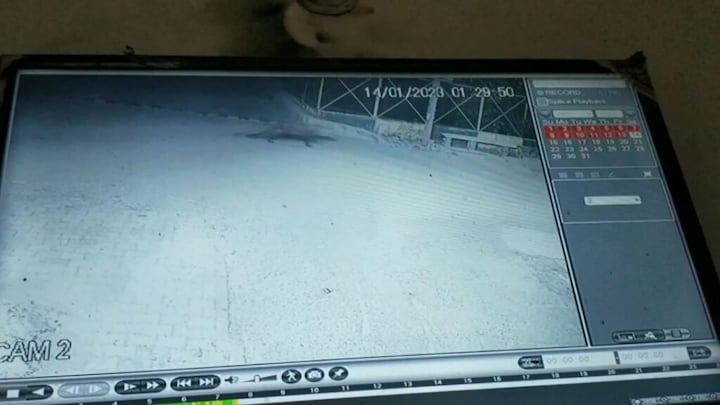 मेरठ: एक बार फिर नजर आया तेंदुआ, सीसीटीवी कैमरे में कैद, इलाके के लोगों में दहशत UP Tak