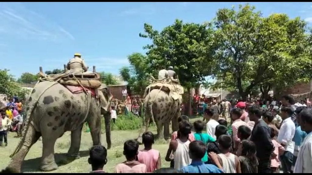 बहराइच: घर से लापता हुई किशोरी, लोगों को लगा बाघ ने किया शिकार, बाद में प्रेमी के साथ मिली UP Tak