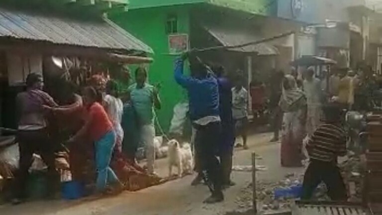 संभल: दबंगों ने बीच सड़क पर महिलाओं पर बरसाई लाठियां, वीडियो वायरल, तीन गिरफ्तार UP Tak