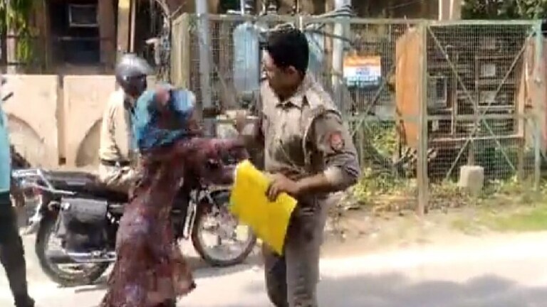 बरेली: पुलिस ऑफिस के बाहर महिला ने दारोगा को चप्पल की माला से पीटा, सामने आई ये कहानी UP Tak
