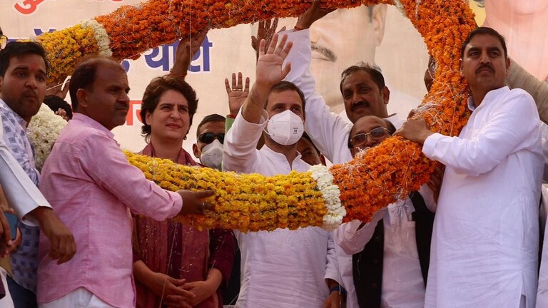 छुट्टा पशुओं को लेकर प्रियंका का PM मोदी पर निशाना, बोलीं- ‘5 साल से क्या कर रहे थे आप’ UP Tak