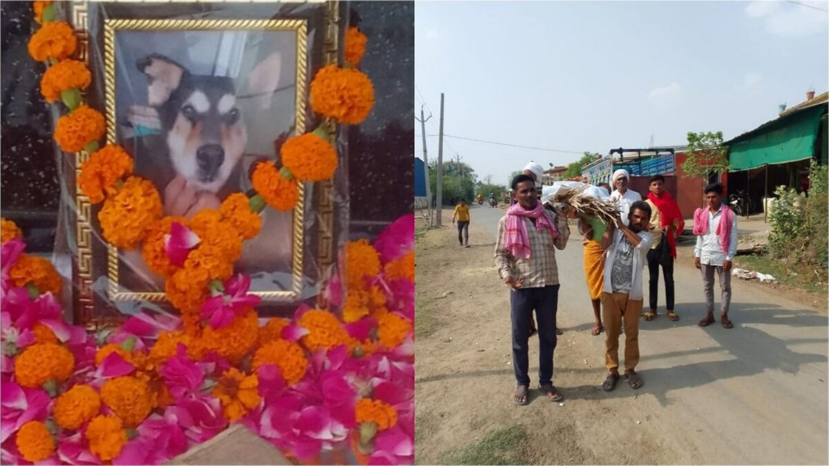 झांसी: अनोखा पशु प्रेम! पालतू कुत्ते की मौत पर निकली शव यात्रा, तेरहवीं भोज का हुआ आयोजन UP Tak