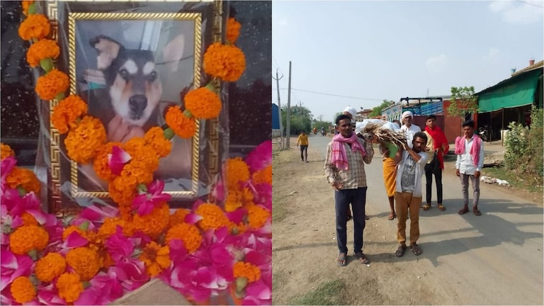 झांसी: अनोखा पशु प्रेम! पालतू कुत्ते की मौत पर  निकली शव यात्रा, तेरहवीं भोज का हुआ आयोजन UP Tak