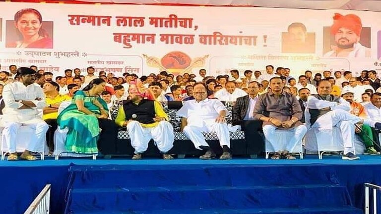 शरद पवार के साथ वायरल तस्वीर की असल कहानी ब्रजभूषण ने बताई, MNS नेता के आरोपों पर ये कहा UP Tak