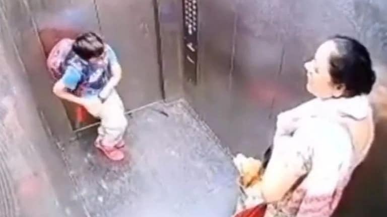 गाजियाबाद: लिफ्ट में डॉग बाइट, लापरवाह डॉग ओनर्स के लिए क्या कहता है कानून? जानें UP Tak