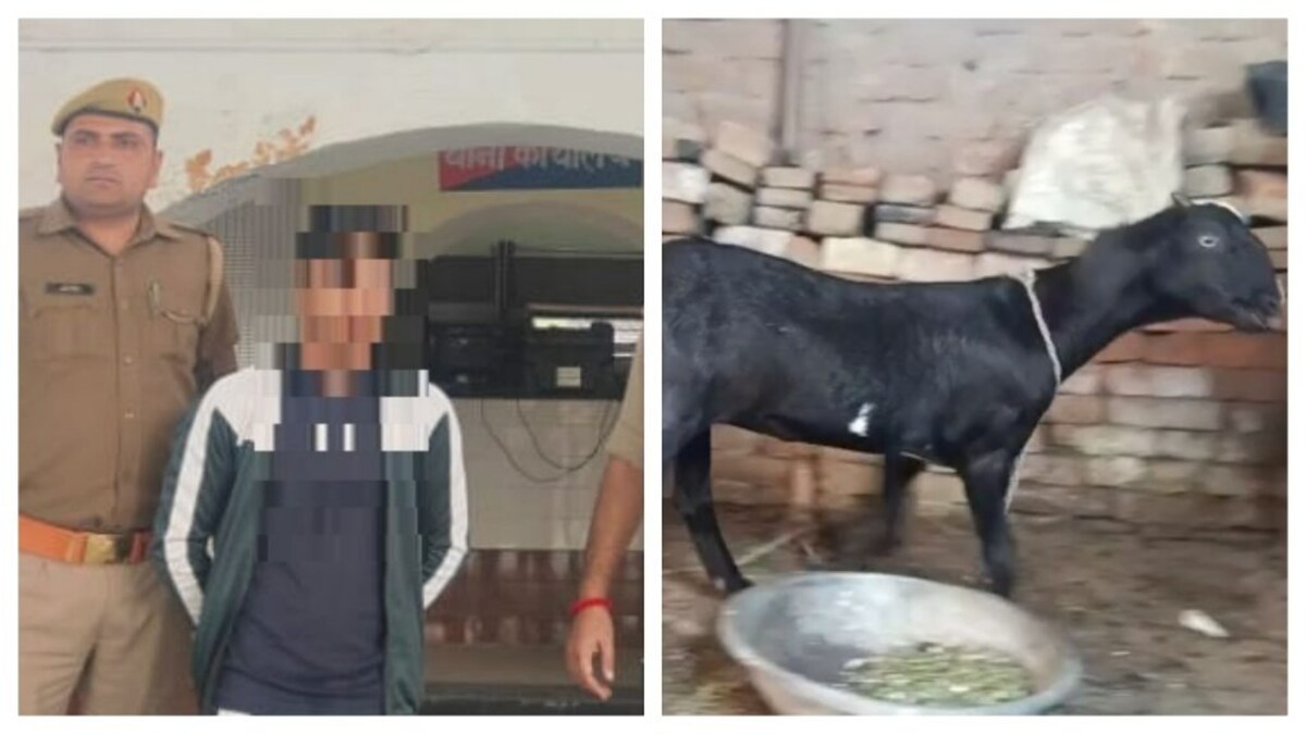 मुजफ्फरनगर में युवक ने किया बकरी से कुकर्म! चिल्लाने की आवाज सुन आई महिला तो धक्का दे भागा UP Tak