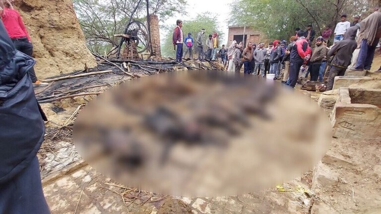 इटावा में हुआ बेहद दुखद हादसा, मजदूर के घर में लगी आग, 13 जानवर जिंदा जलकर मरे UP Tak