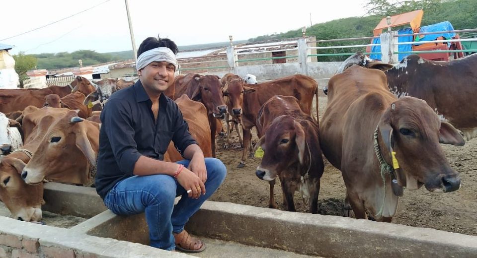 इटावा: सिविल इंजीनियर ने जंगल में कर दिया कमाल! साहिवाल गायों से कमा रहे 12-15 लाख रुपये UP Tak