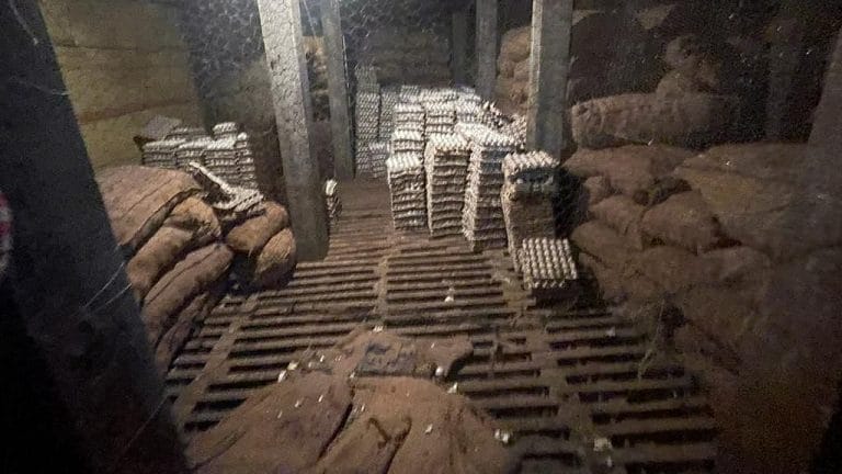 फिरोजाबाद: कोल्ड स्टोरेज में आलू की जगह रखे मिले मुर्गी के अंडे, Egg खरीदने से पहले जानें UP Tak
