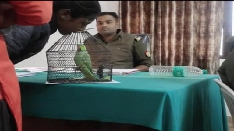 प्रयागराज: तोते के लिए थाने पर हुई पंचायत, दो साल बाद असली मालकिन से ऐसे मिला ‘तोताराम’ UPTak