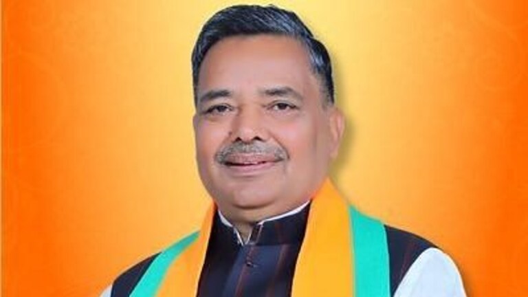 मैनपुरी में BJP उपचुनाव लड़ेगी और प्रचंड जीत हासिल करेगी: UP के मंत्री जयवीर सिंह UP Tak