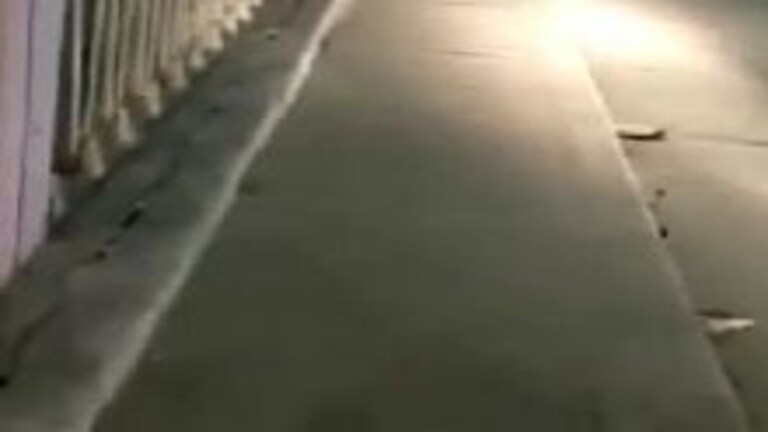 लखीमपुर खीरी: शारदा नदी के पास पुल पर सड़क पर दौड़ लगाता दिखा मगरमच्छ, वीडियो वायरल UP Tak