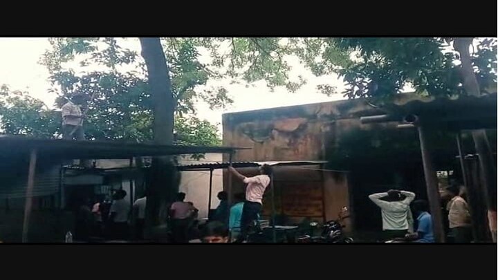 बंदरों ने वकील के हाथ से छीने एक लाख रुपये, पेड़ पर चढ़कर उड़ाए 500-500 के नोट UP Tak