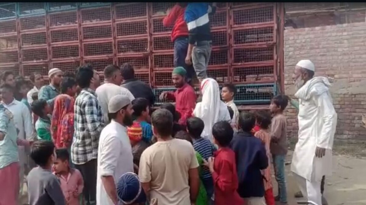 शामली: वोटरों को लुभाने के लिए पूर्व चेयरमैन ने बंटवाए जिंदा मुर्गे, लोगों में मची आपाधापी UP Tak