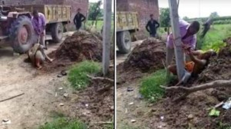 पति और ससुराल पक्ष की ओर से घरेलू हिंसा के मामलों में NCRB की रिपोर्ट में UP दूसरे नंबर पर UP Tak