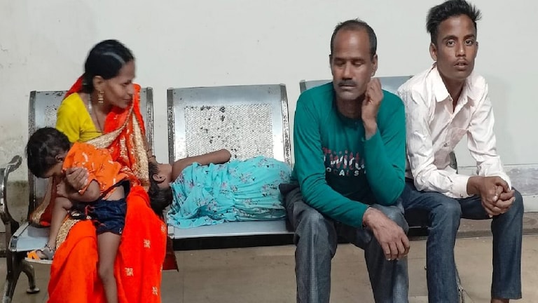 यूपी चुनाव के बीच छुट्टा पशुओं को लेकर सीएम योगी के ऐलान पर क्या बोले पीलीभीत के किसान? UP Tak