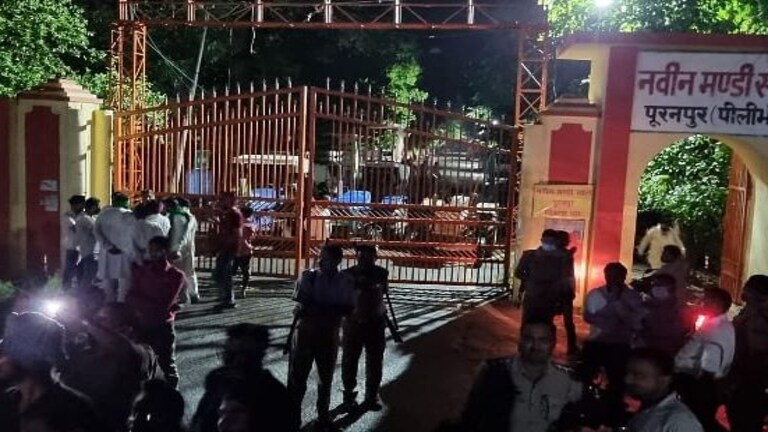 पीलीभीत: बारिश में भी धरने को मजबूर धान के किसान, देखें मंडी के बाहर यूं चल रहा आंदोलन UP Tak