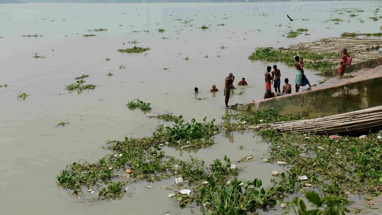 मछलियों के सहारे गंगा नदी को साफ रखने की तैयारी, जानें क्या है यूपी सरकार का प्लान UP Tak