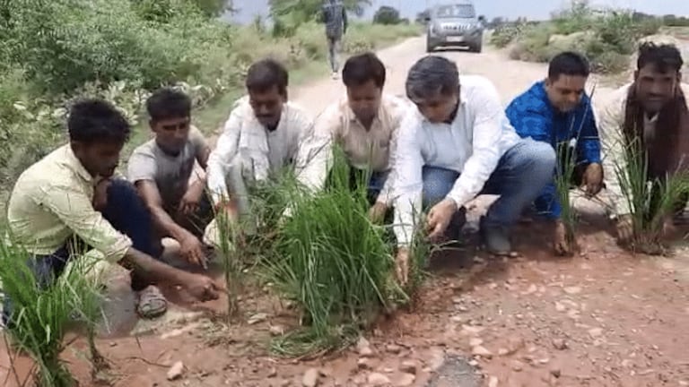 कासगंज: 8 साल से टूटी पड़ी थी सड़क, सपा नेता ने उसपर कर दी धान की रोपाई, चेतावनी भी दी UP Tak