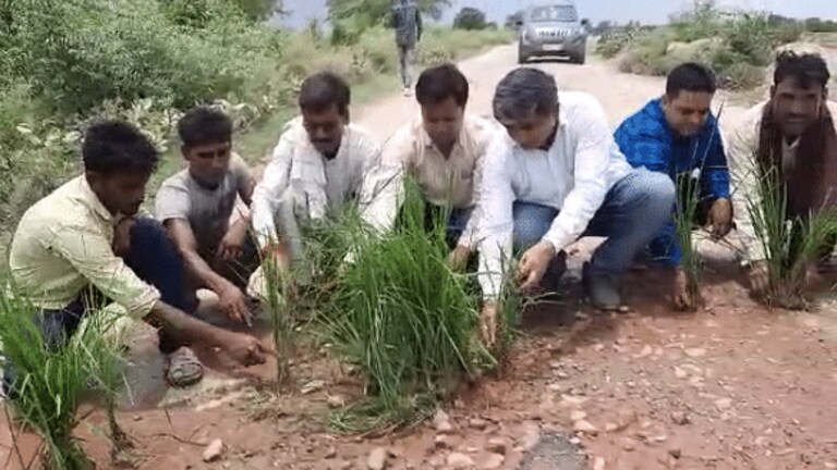 कासगंज: 8 साल से टूटी पड़ी थी सड़क, सपा नेता ने उसपर कर दी धान की रोपाई, चेतावनी भी दी UP Tak