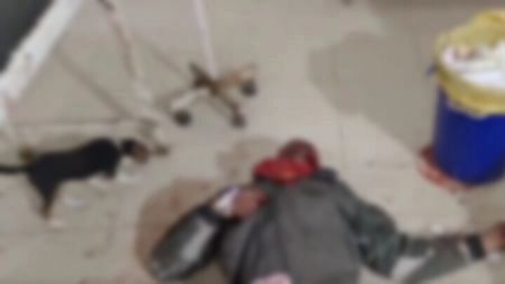 कुशीनगर: दिल को दहलाने वाला वाकया, घायल अस्पताल में जमीन पर पड़ा दिखा, खून चाट रहा कुत्ता UP Tak