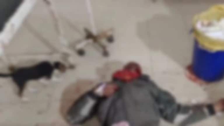 कुशीनगर: दिल को दहलाने वाला वाकया, घायल अस्पताल में जमीन पर पड़ा दिखा, खून चाट रहा कुत्ता UP Tak