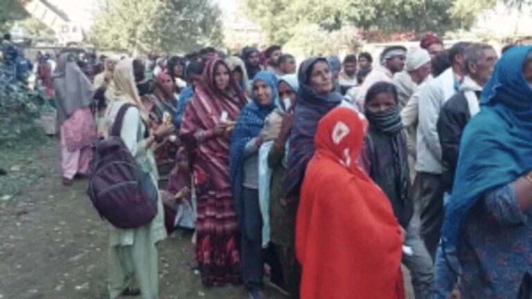 हमीरपुर में खाद के लिए जद्दोजहद! लाइनों में लगे बुजुर्ग, महिलाओं सहित बच्चे UPTak