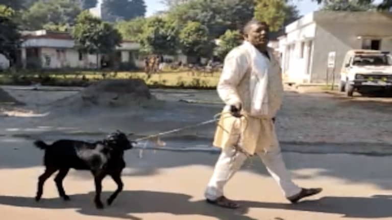 बरेली: बकरा लेकर SSP ऑफिस पहुंचा शख्स, बोला-‘मेरे साथ हुआ है फ्रॉड’, की न्याय की मांग UPTak