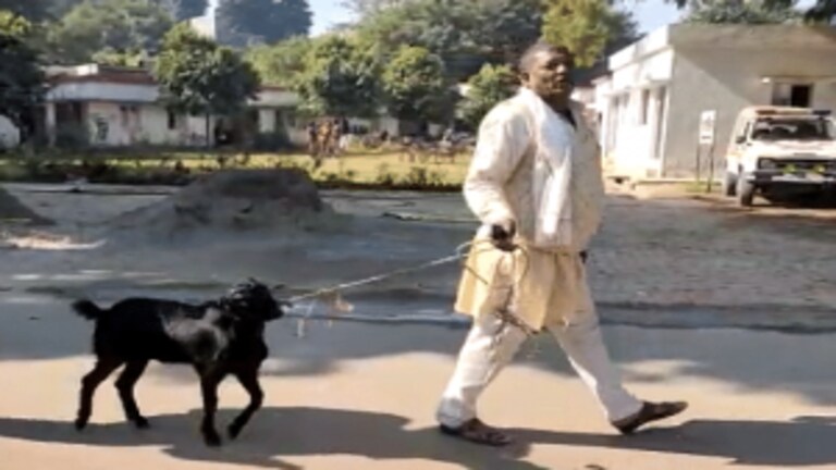 बरेली: बकरा लेकर SSP ऑफिस पहुंचा शख्स, बोला-‘मेरे साथ हुआ है फ्रॉड’, की न्याय की मांग UP Tak