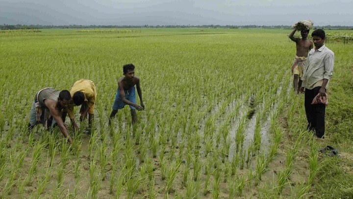 uttar pradesh budget 2022: योगी सरकार ने बजट में किसानों को क्या दिया? यहां जानें UP Tak