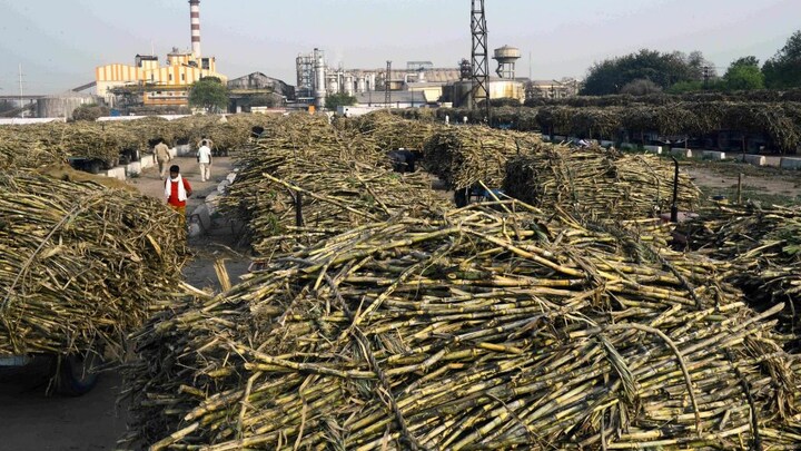 UP में पिछले 10 साल में क्या रहा गन्ना किसानों के पेमेंट का हाल, RTI जवाब से जानिए UP Tak
