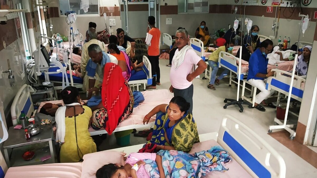 स्क्रब टायफस, लेप्टोस्पायरोसिस, हेमरोजेनिक डेंगू: UP में फैले बुखार के इन 3 नामों को जानें UP Tak
