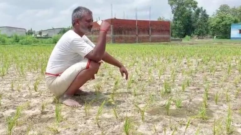 सपा MLA का CM योगी को पत्र, की गाजीपुर समेत पूर्वांचल को सूखाग्रस्त घोषित करने की मांग UP Tak