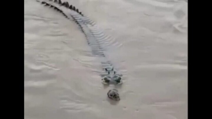 बहराइच: महिला को पानी में खींच ले गया मगरमच्छ, पूरा पैर खा गया, लोग देखते तब तक देर हो गई UP Tak