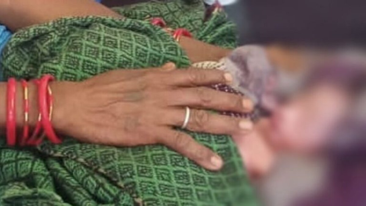 मानवता शर्मसार! हमीरपुर में नवजात बच्ची को झाड़ियों को फेंक भाग गई मां? आवाज आने पर पता चला UP Tak