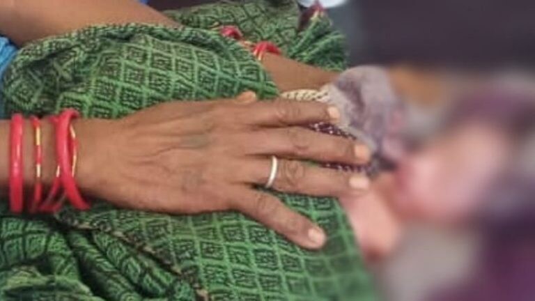 मानवता शर्मसार! हमीरपुर में नवजात बच्ची को झाड़ियों को फेंक भाग गई मां? आवाज आने पर पता चला UP Tak