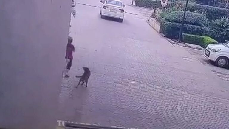 नोएडा: कुत्ते ने किया बच्ची पर हमला, गार्ड की मुस्तैदी से बची अनहोनी, वीडियो वायरल UP Tak