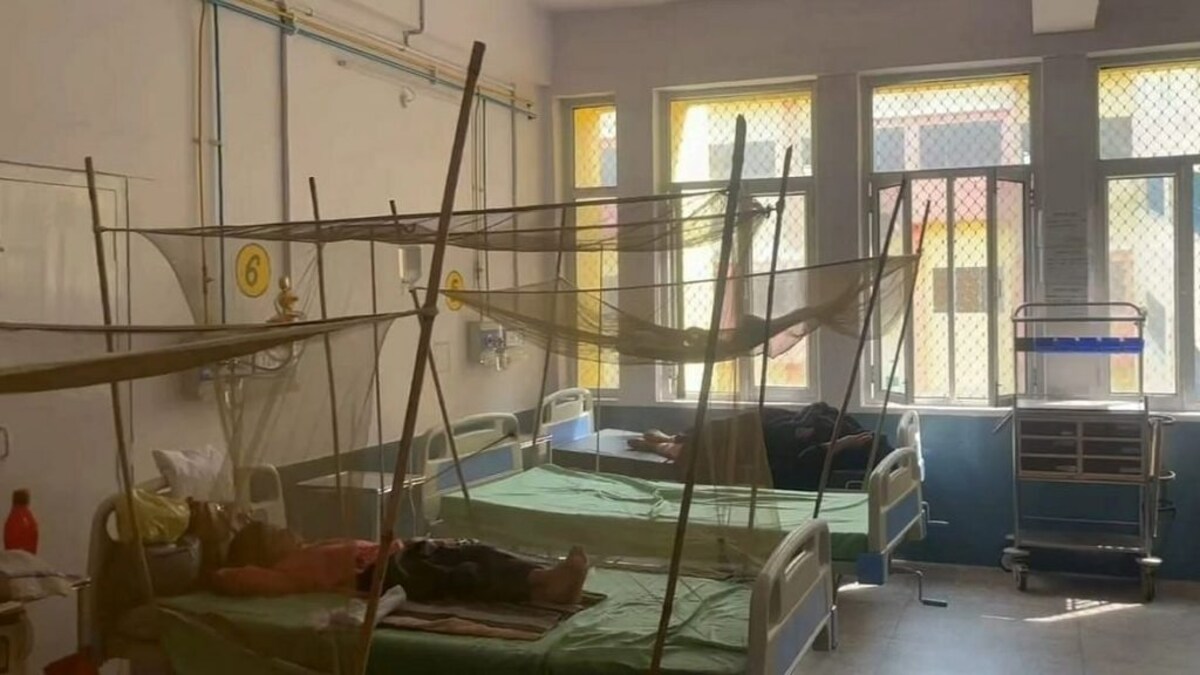 बरेली: लगातार बढ़ रहे डेंगू के मरीज, अलर्ट मोड पर स्वास्थ्य विभाग, उठाए ये बड़े कदम UP Tak