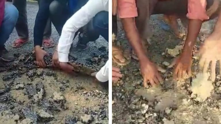 लखीमपुर: हाथ मारते ही उखड़ रही थी नई बनी सड़क! वीडियो हुआ था वायरल, अब ये सच आया सामने UP Tak