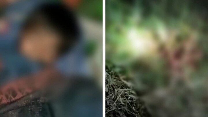 बलरामपुर: घर से निकला बच्चा तभी पेड़ के पीछे छिपे तेंदुए ने किया हमला, मासूम की हुई मौत UP Tak