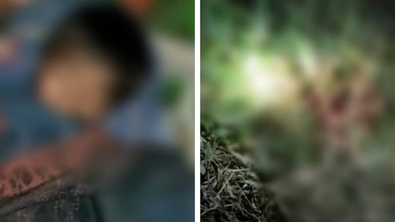 बलरामपुर: घर से निकला बच्चा तभी पेड़ के पीछे छिपे तेंदुए ने किया हमला, मासूम की हुई मौत UP Tak