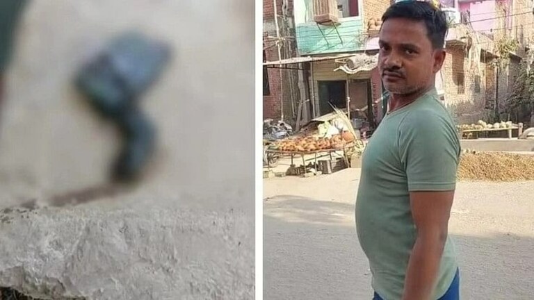 बरेली: पहली बार हुआ किसी चूहे का पोस्टमॉर्टम, वैज्ञानिक-डॉक्टरों ने बताई मौत की ये वजह UP Tak