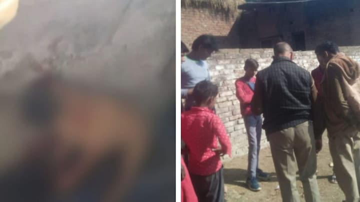 बरेली: अमानवीय! शराबी युवक चखने में काट खा गए 2 पिल्लों के कान और पूंछ, दरिंदगी की हद पार UP Tak