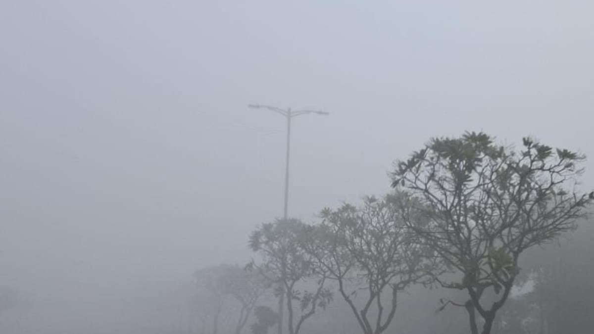 UP Weather News: नए साल में और सताएगी सर्दी, जनवरी के पहले सप्ताह ऐसा रहेगा मौसम का हाल UP Tak