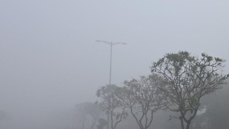 UP Weather Update: कोल्ड-डे की स्थिति बरकरार, कब मिलेगी ठंड से राहत? मौसम विभाग ने बताया UP Tak